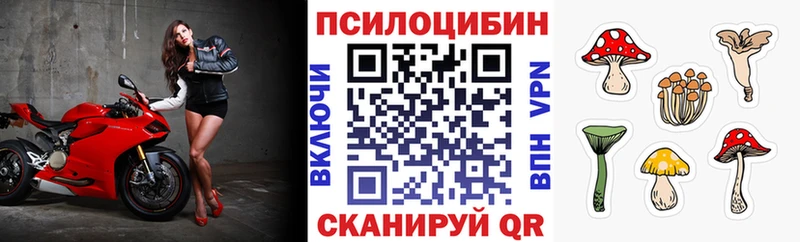 Псилоцибиновые грибы Magic Shrooms  Аркадак 